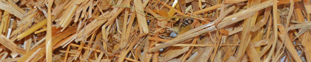 naturbelassenes Stroh